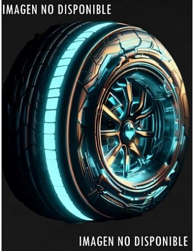 225/40 R 19 AE51-GT 93W XL TL